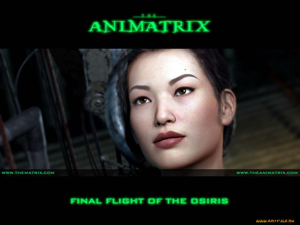 , animatrix